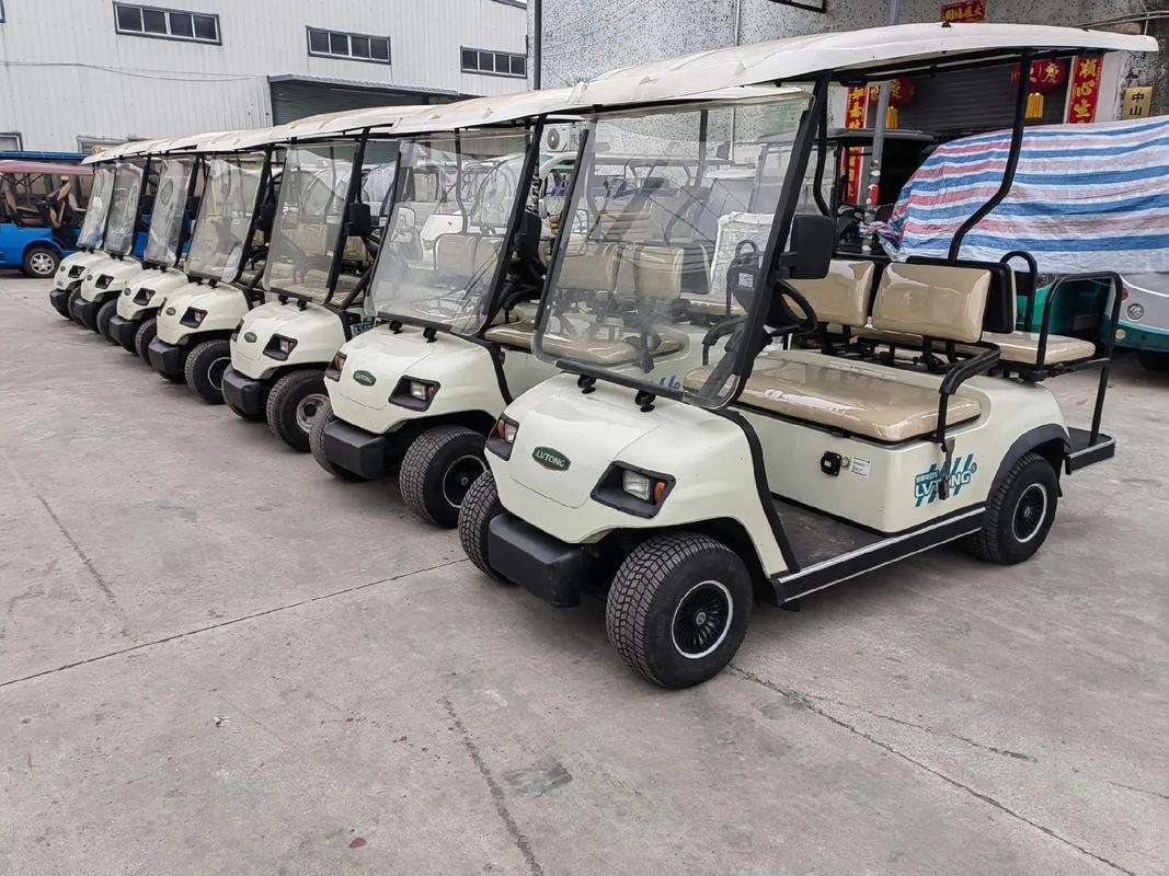 Electric Golf Cart | Multi-Seat Custom Open & Enclosed Golf Buggy Series - Image 8